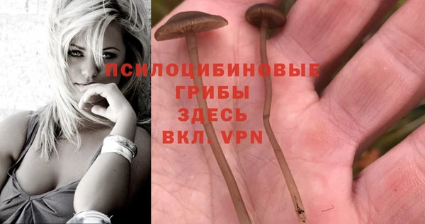 ALPHA-PVP Алексин