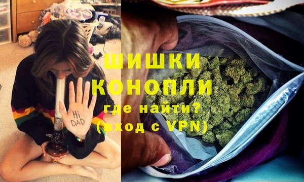 стаф Абаза
