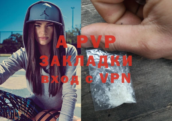 стаф Абаза